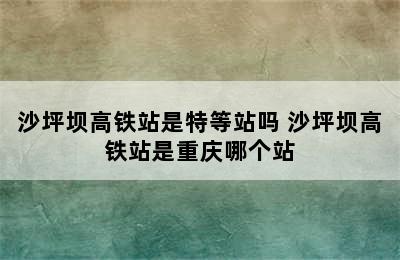 沙坪坝高铁站是特等站吗 沙坪坝高铁站是重庆哪个站